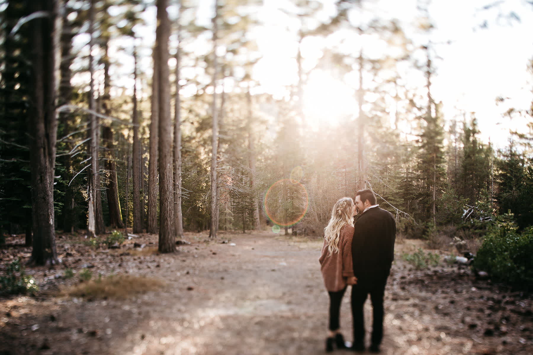 donner-lake-tahoe-national-forest-fall-engagement-session-8