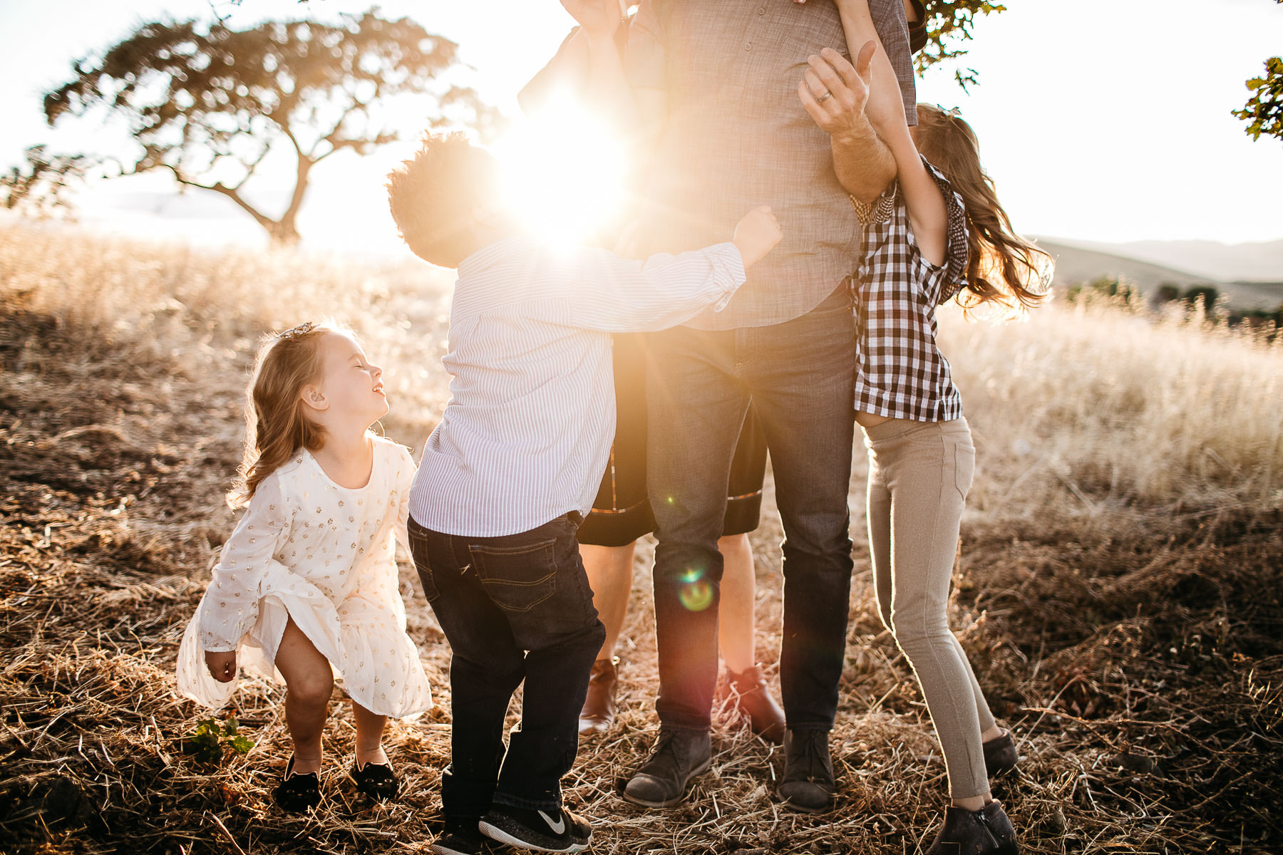 concord-golden-hill-california-fall-lifestyle-session-15