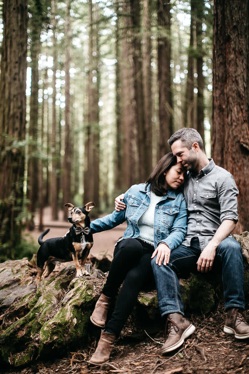 oakland-gloomy-redwood-engagement-session-with-puppy-16