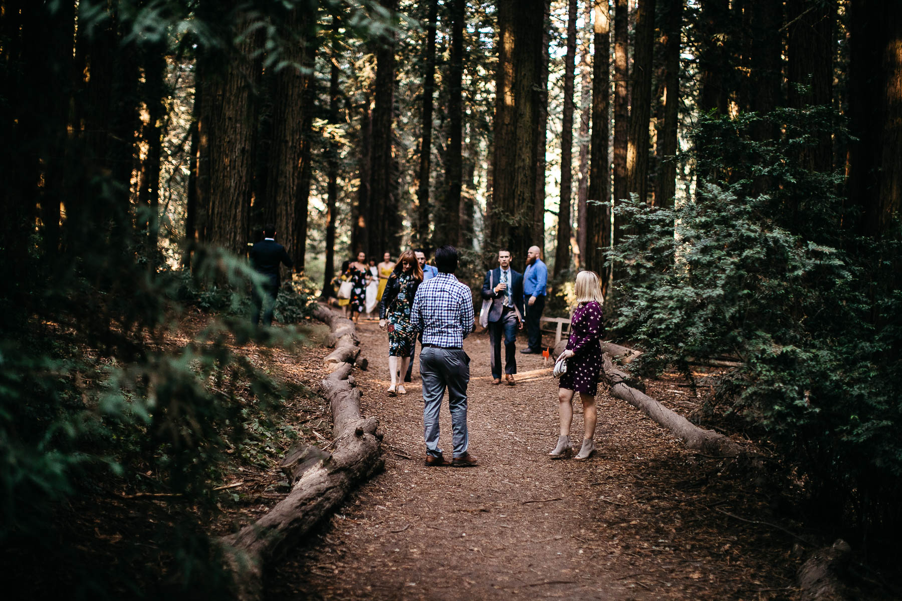 oakland-redwoods-summer-wedding-35