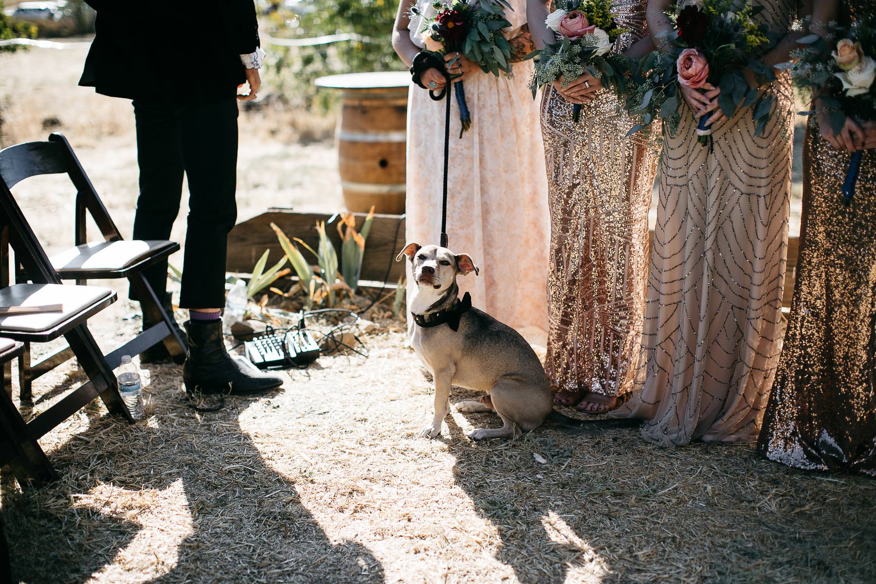 vacaville-ca-summer-hillside-wedding-21