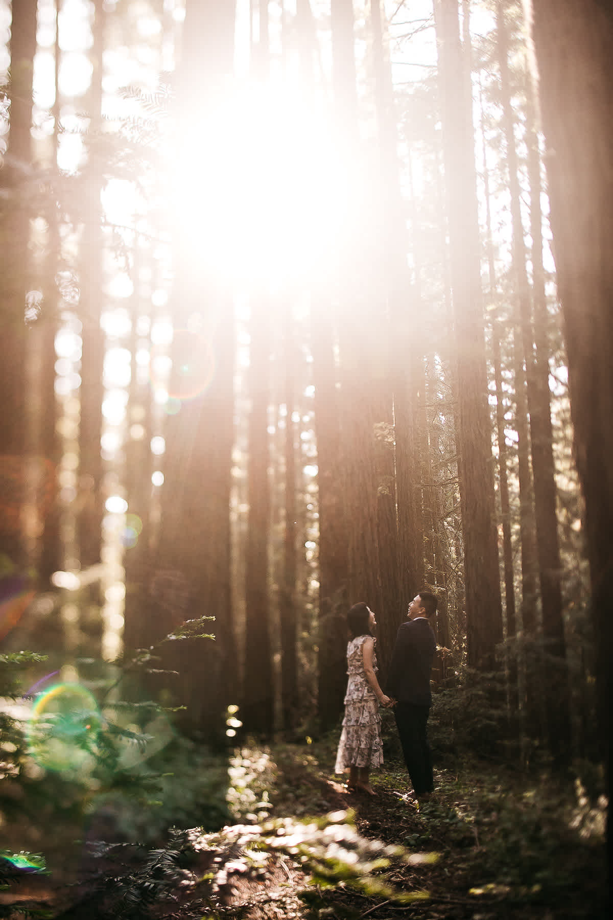 redwoods-coastal-pampas-grass-lifestyle-engagement-session-with-pups-8