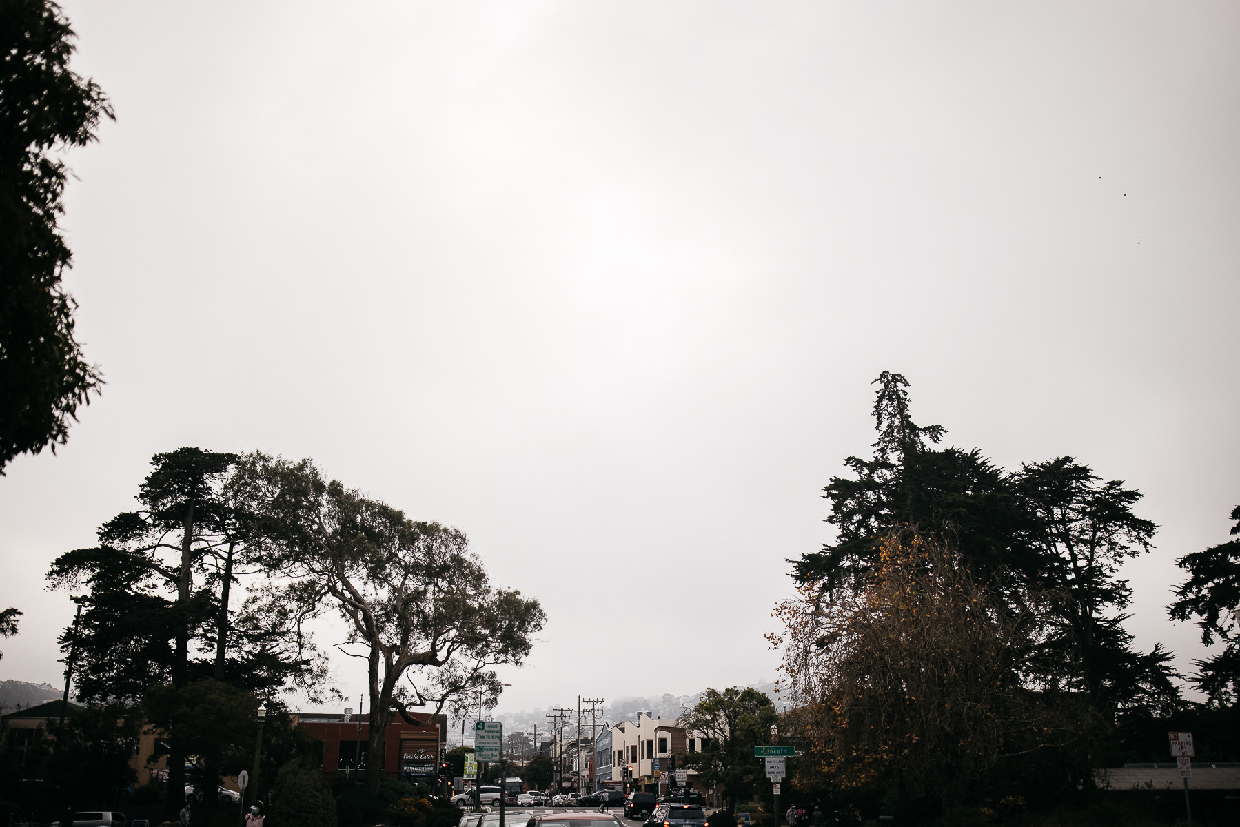 golden-gate-park-celebratory-garden-micro-wedding-elopement-49