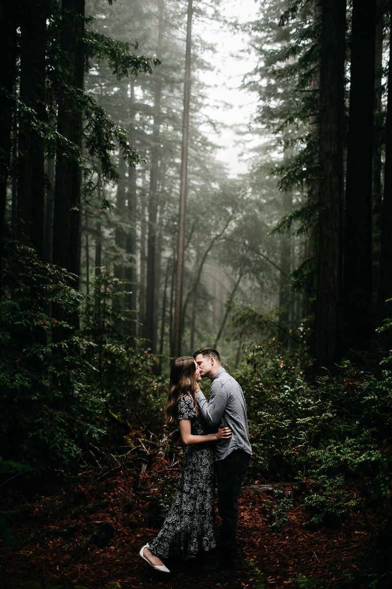 mt-tam-california-foggy-fall-engagement-hills-redwood-engagement-session-16