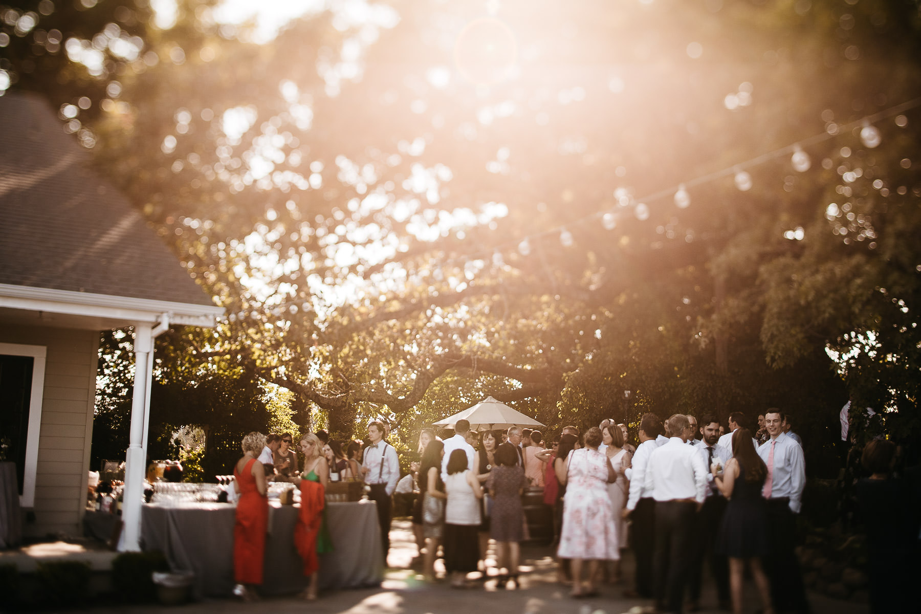 sebastopol-ca-summer-wedding-86