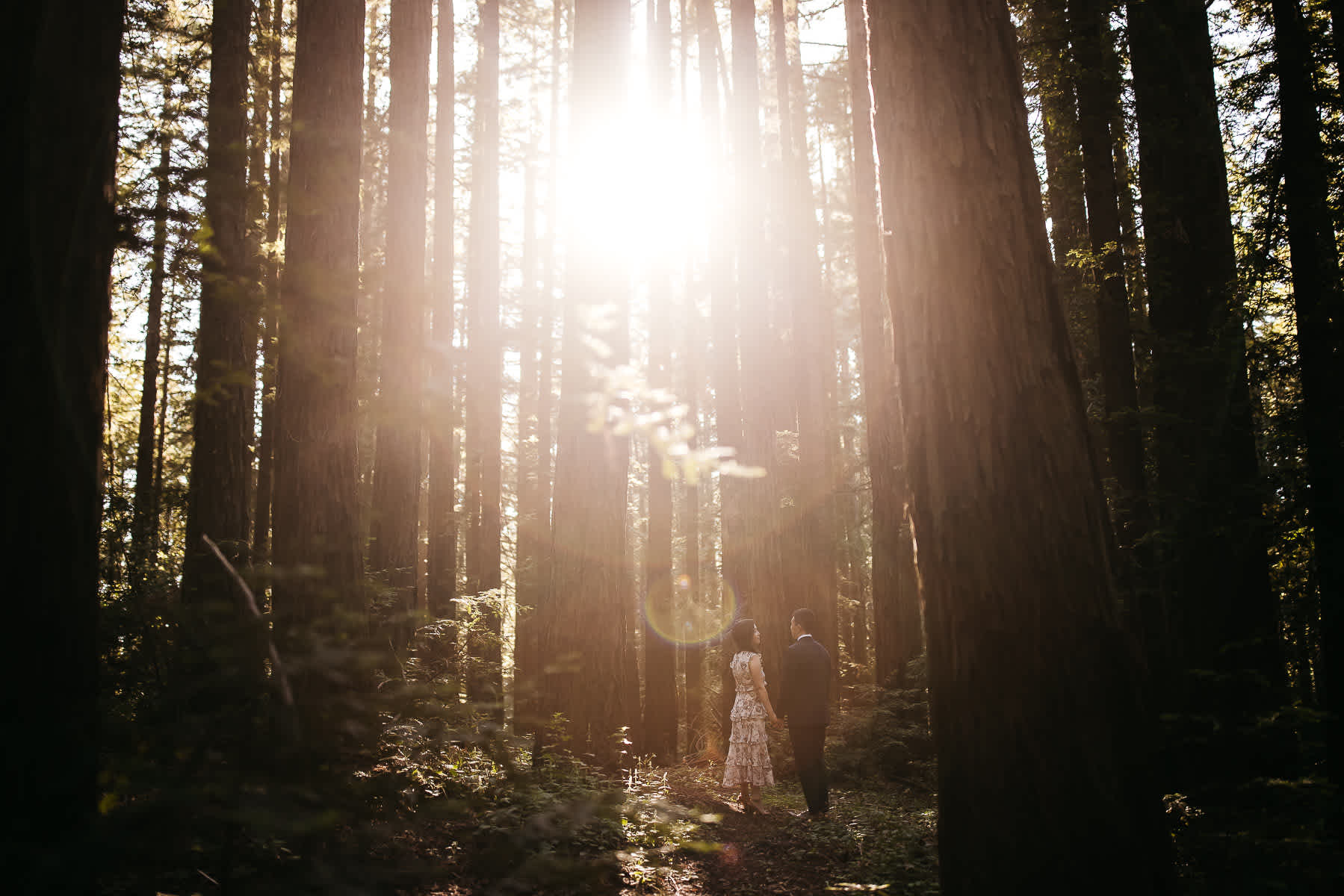 redwoods-coastal-pampas-grass-lifestyle-engagement-session-with-pups-14