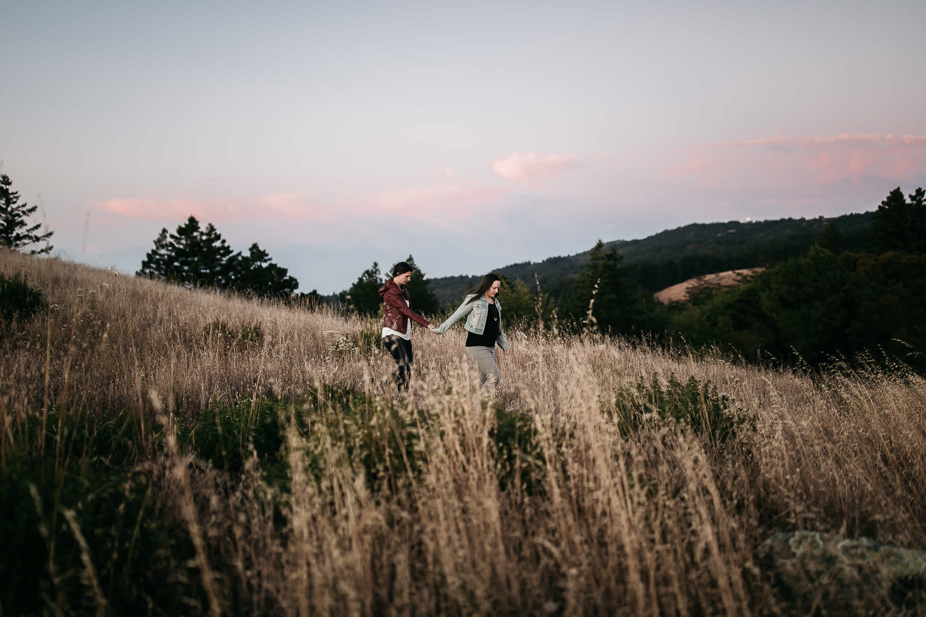 mt-tam-sunset-engagement-session-with-boxer-lab-dogs-43