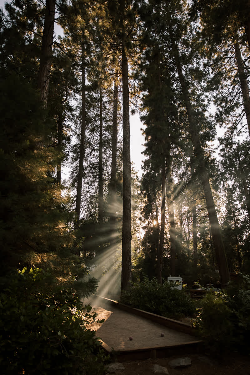 Evergreen-Lodge-Yosemite-Summer-wedding-197