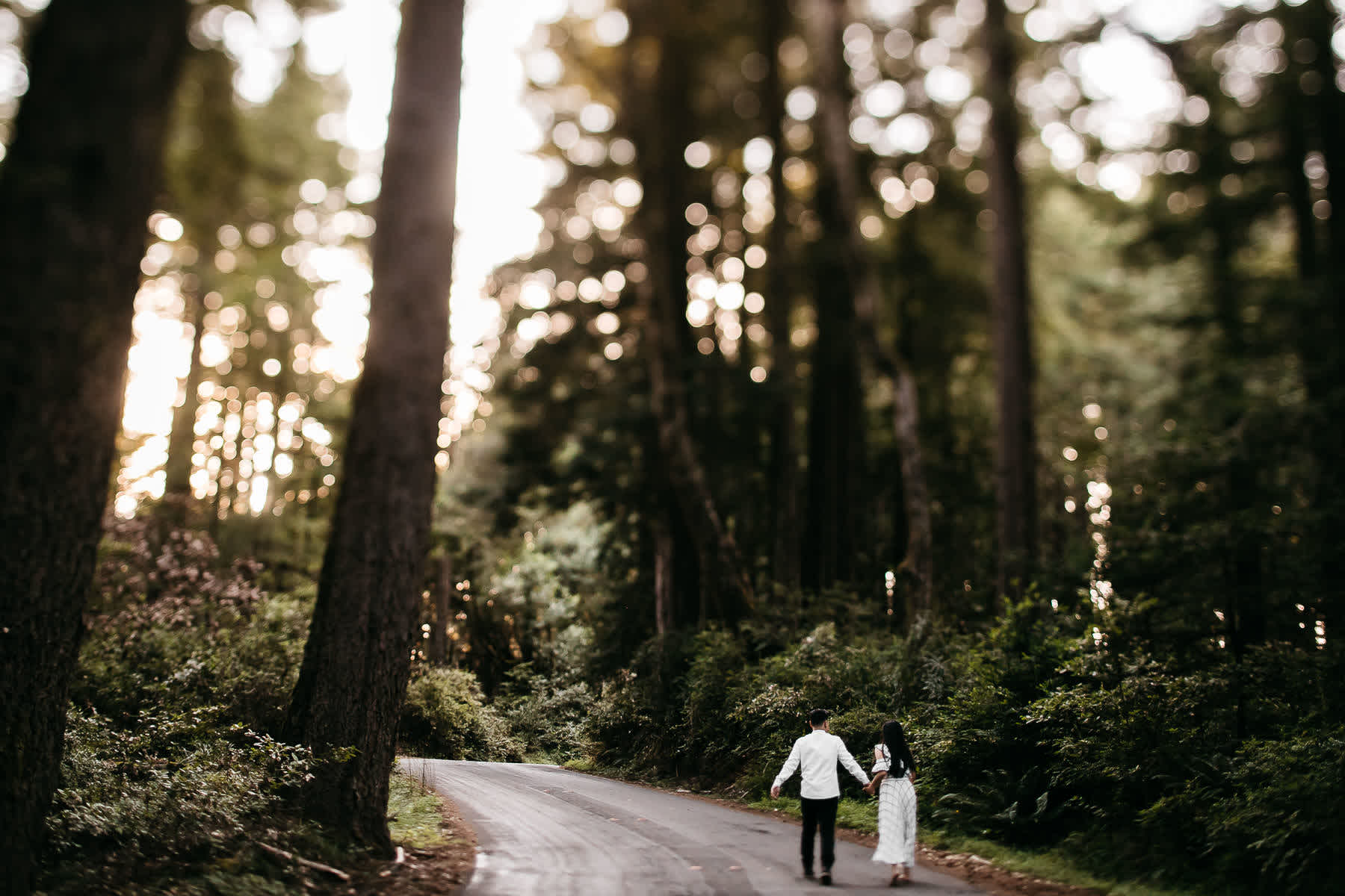 stinson-beach-muir-woods-sf-fun-quirky-engagement-session-8