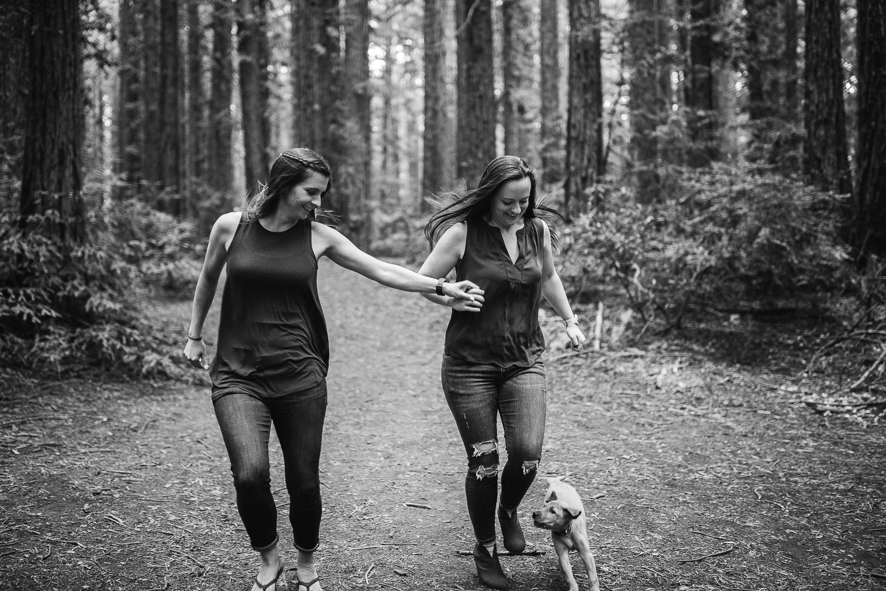 oakland-redwoods-new-puppy-session-labrador-25