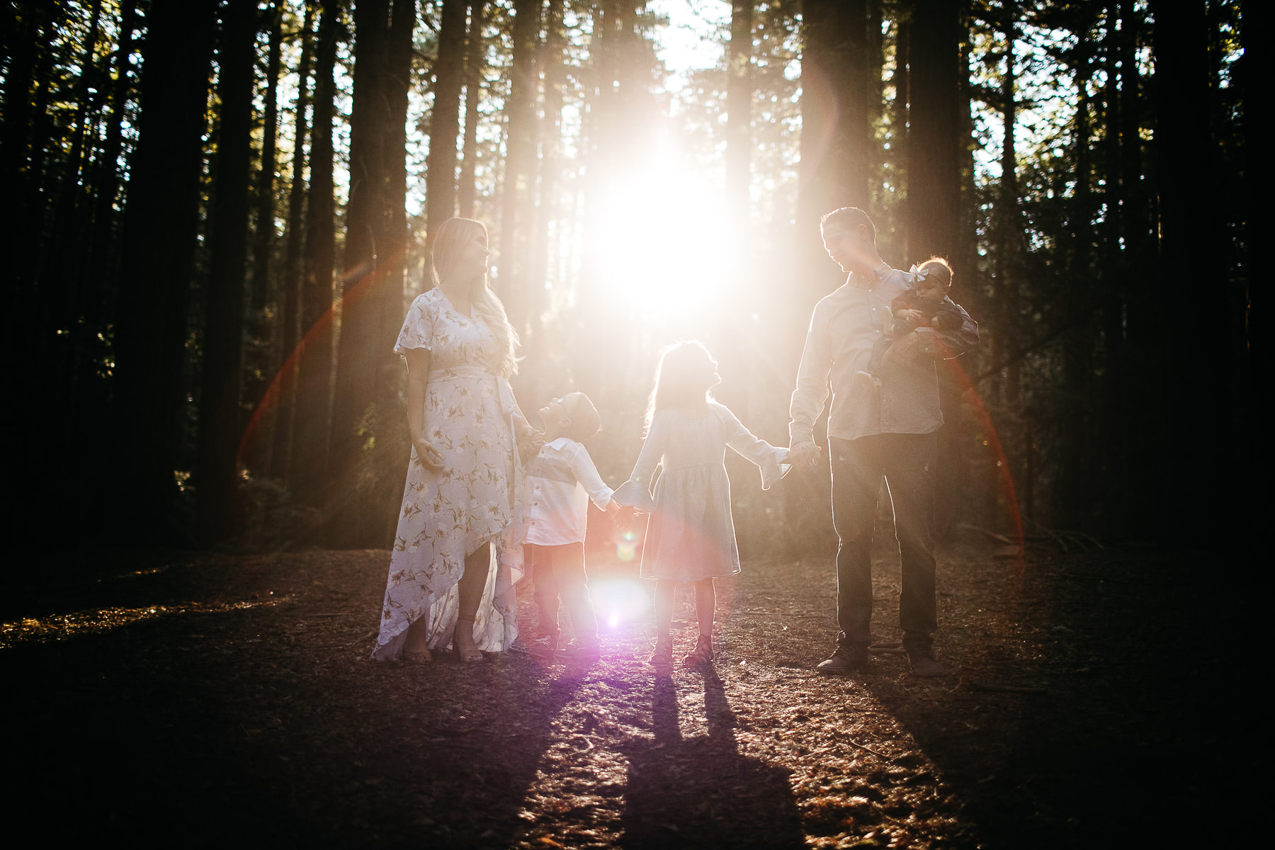 oakland-redwoods-morning-light-joaquin-miller-park-lifestyle-session-17
