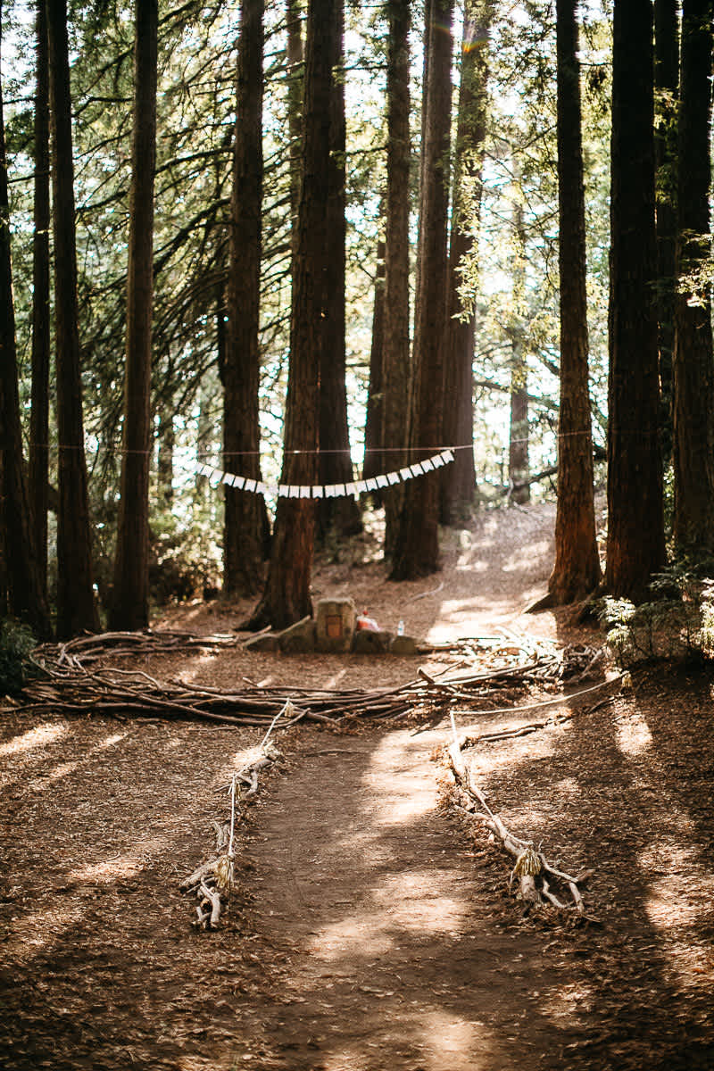 oakland-redwoods-summer-wedding-31