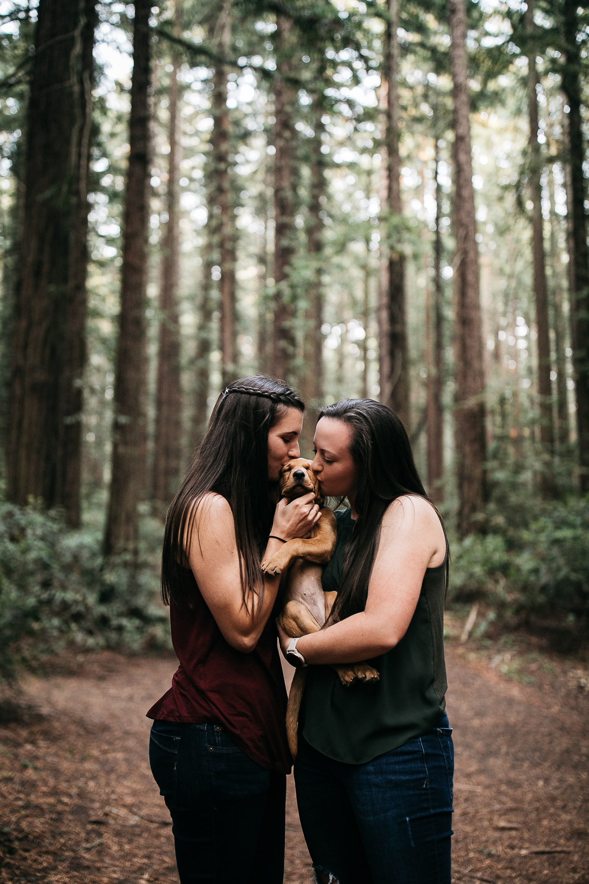 oakland-redwoods-new-puppy-session-labrador-19