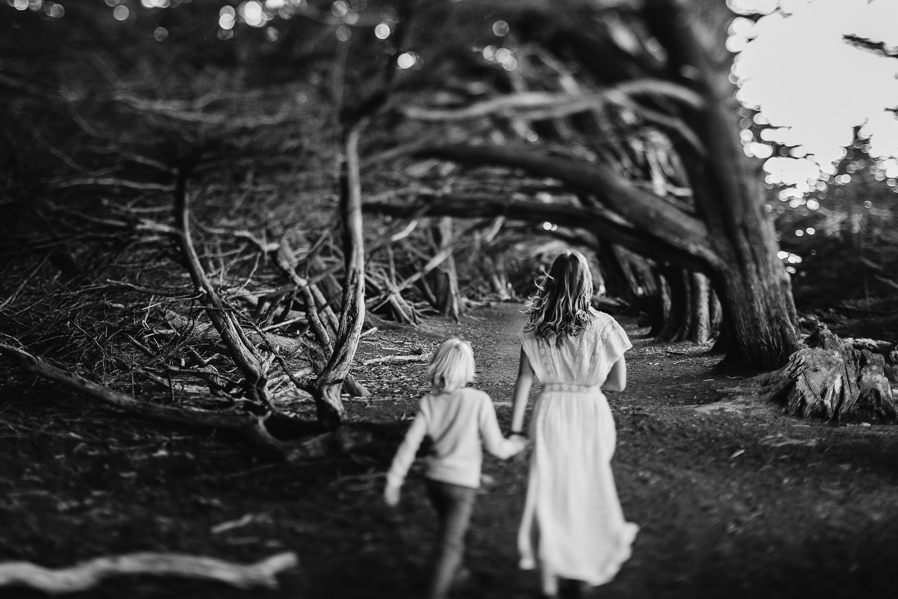 half-moon-bay-golden-cliffside-family-session-35