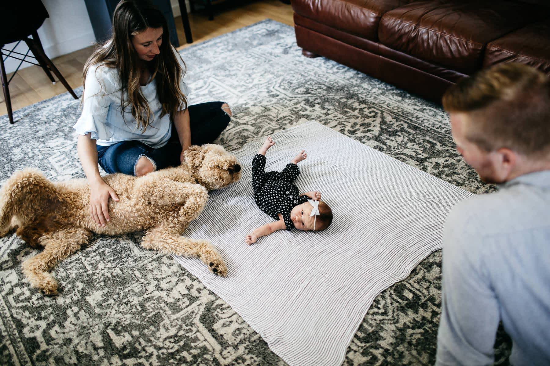 san-francisco-lifestyle-in-home-newborn-with-dog-17