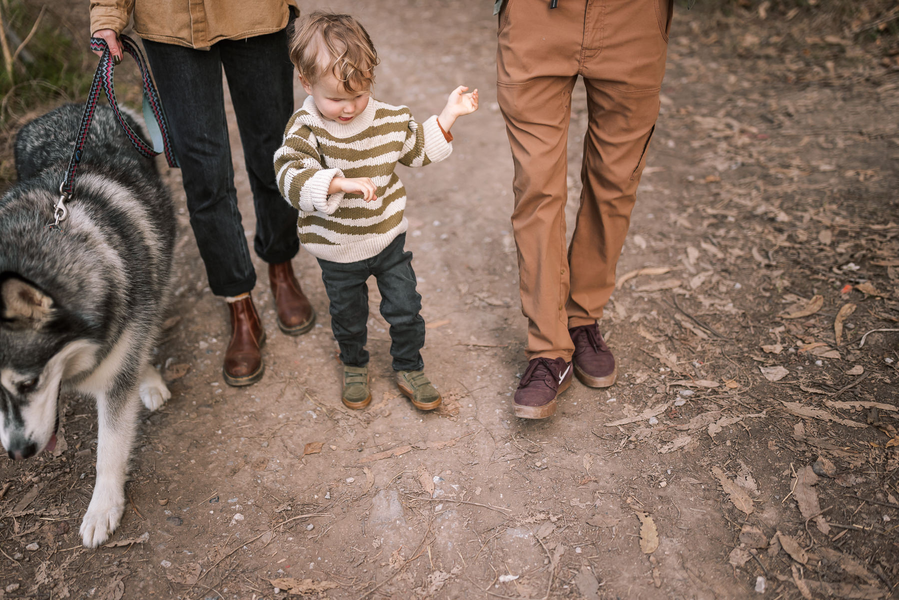 pacifica-eucalyptus-fall-family-lifestyle-session-56