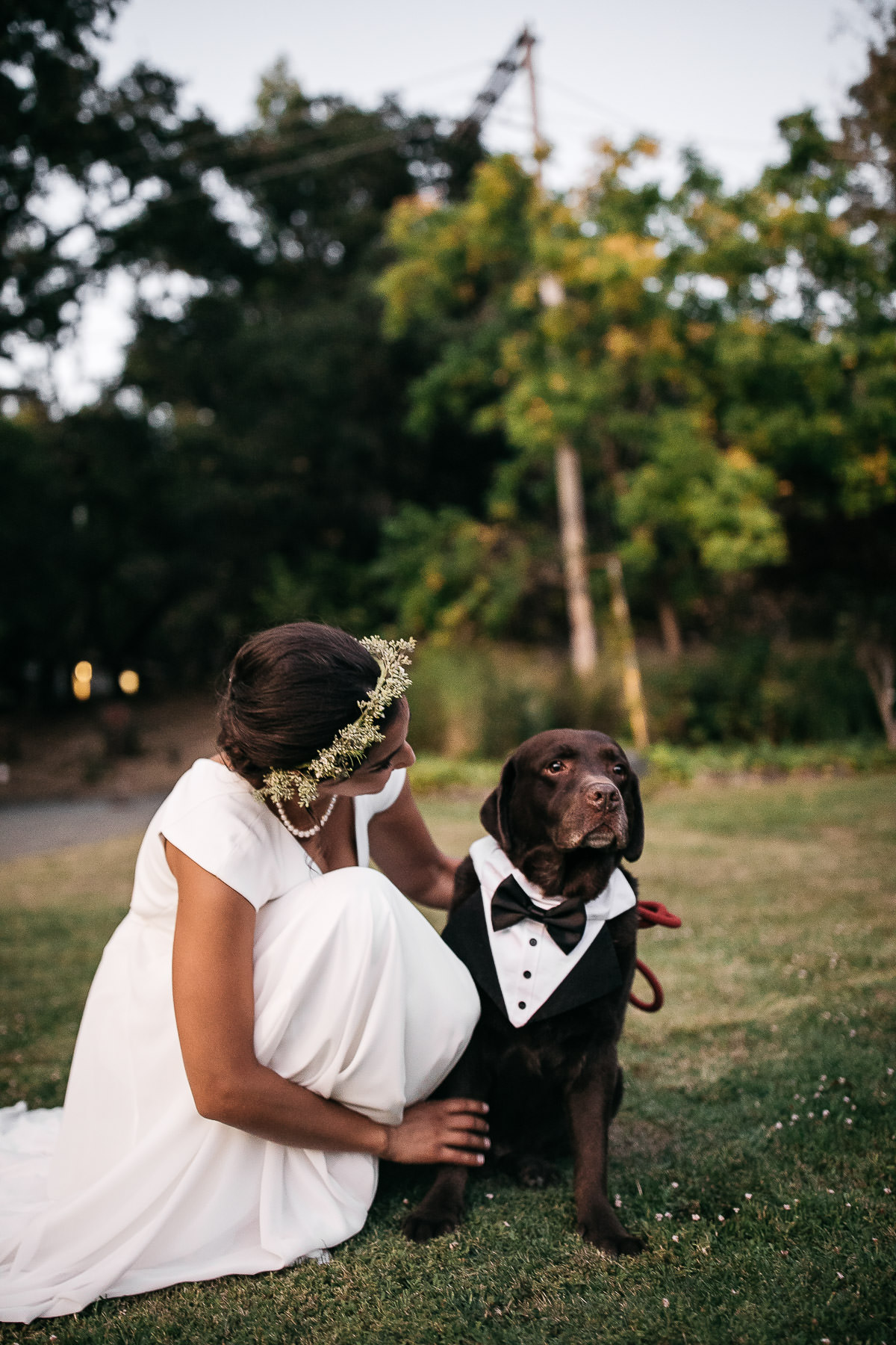 marin-art-and-garden-center-summer-wedding-fusion-71