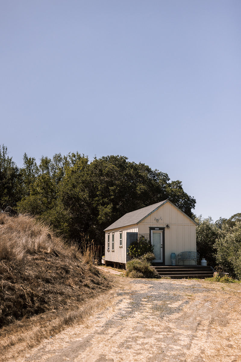 Monkey-ranch-petaluma-golden-hills-wedding-7