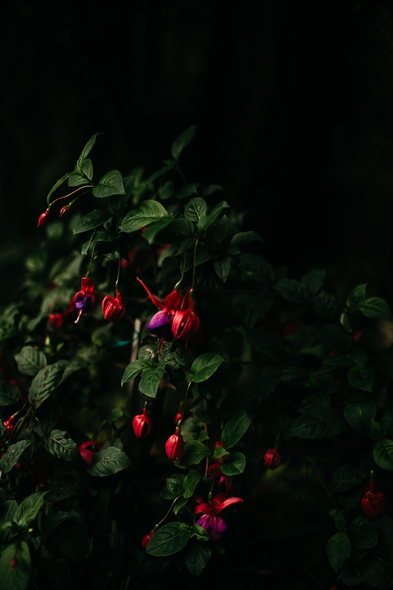 bodega-bay-secret-garden-gloomy-fall-wedding-58