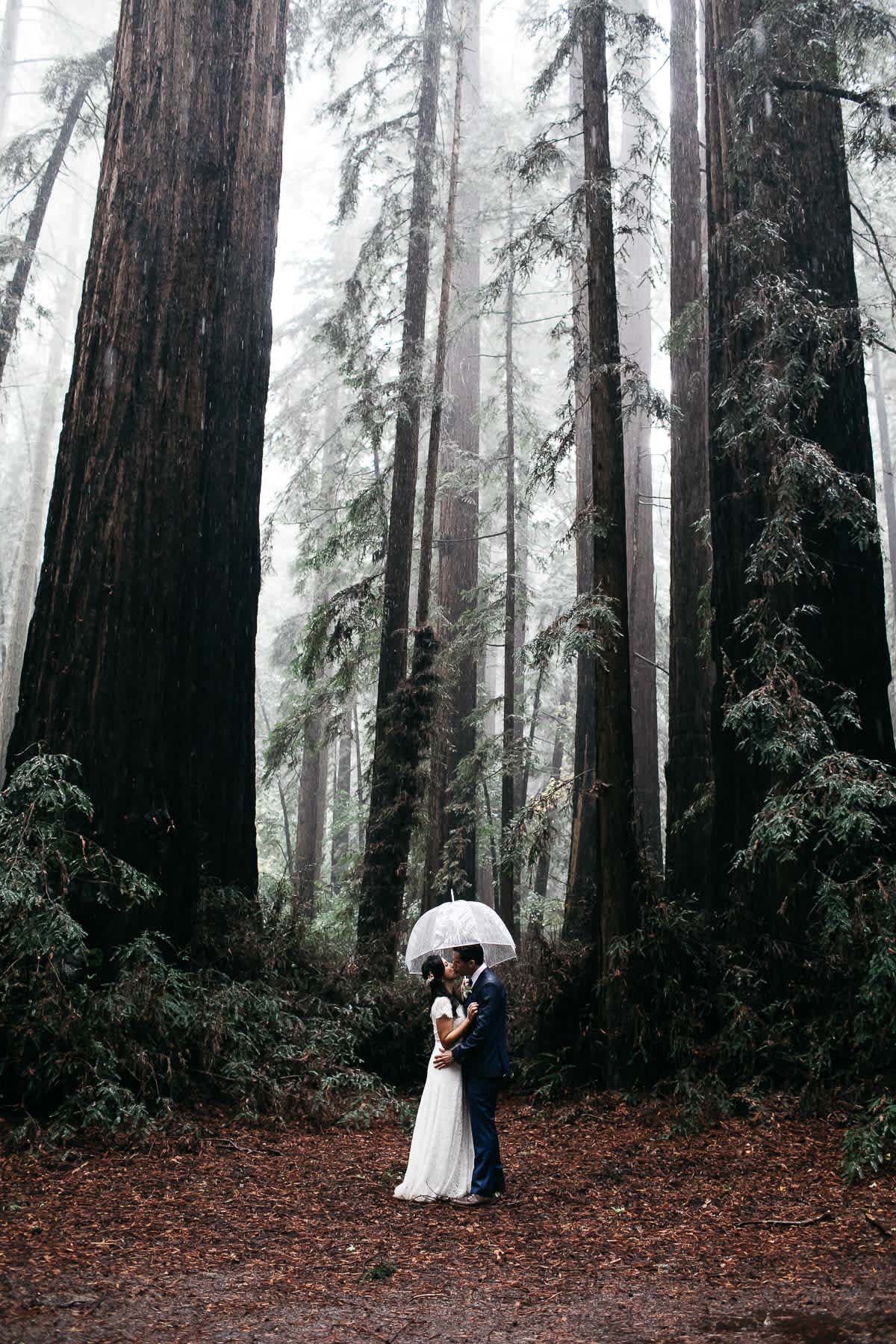 santa-cruz-redwoods-henry-cowell-rainy-elopement-photographer-44