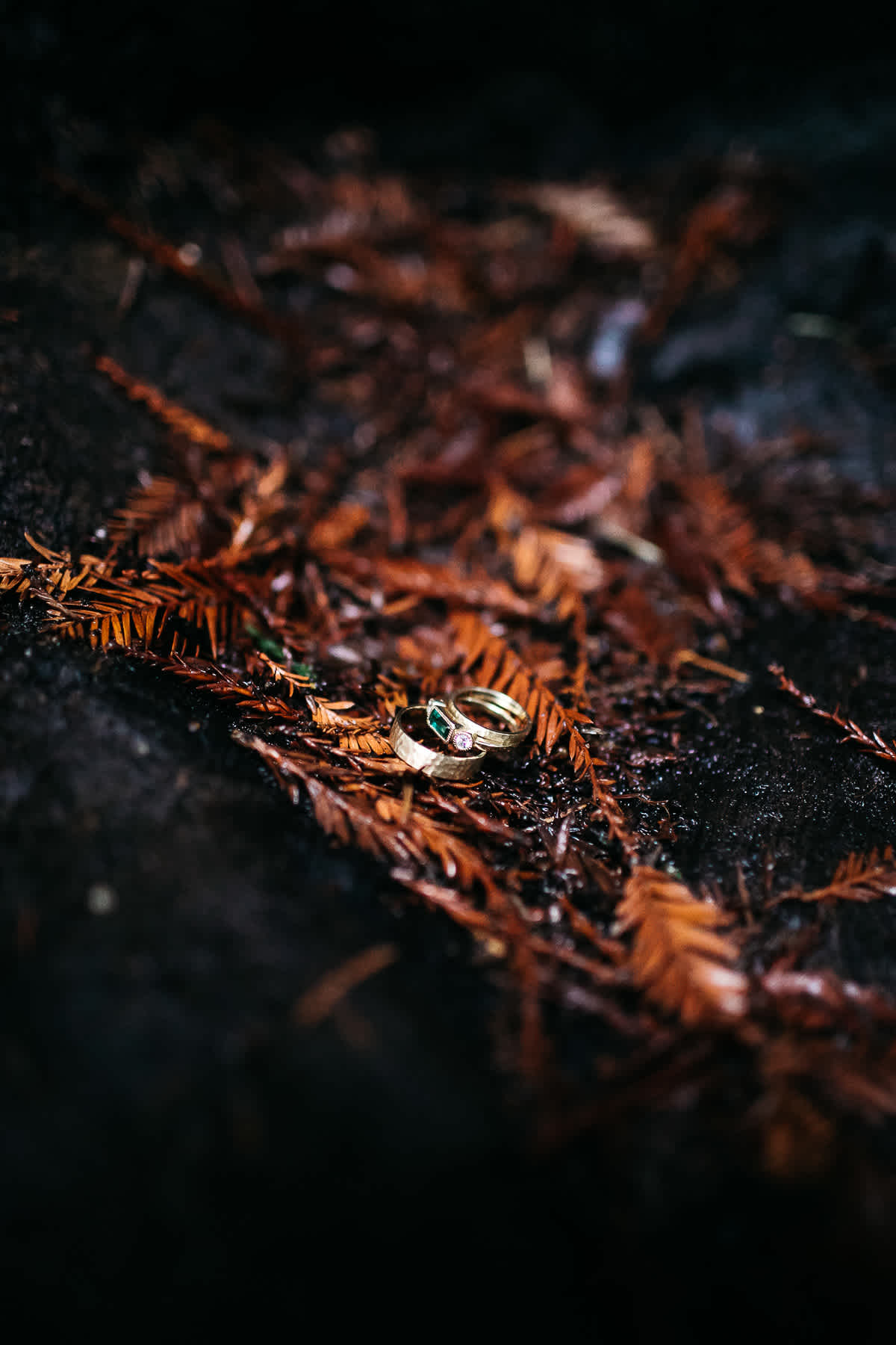 santa-cruz-redwoods-henry-cowell-rainy-elopement-photographer-103