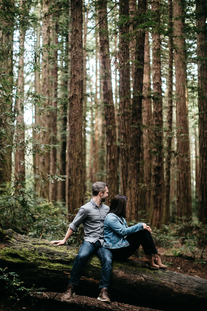 oakland-gloomy-redwood-engagement-session-with-puppy-8