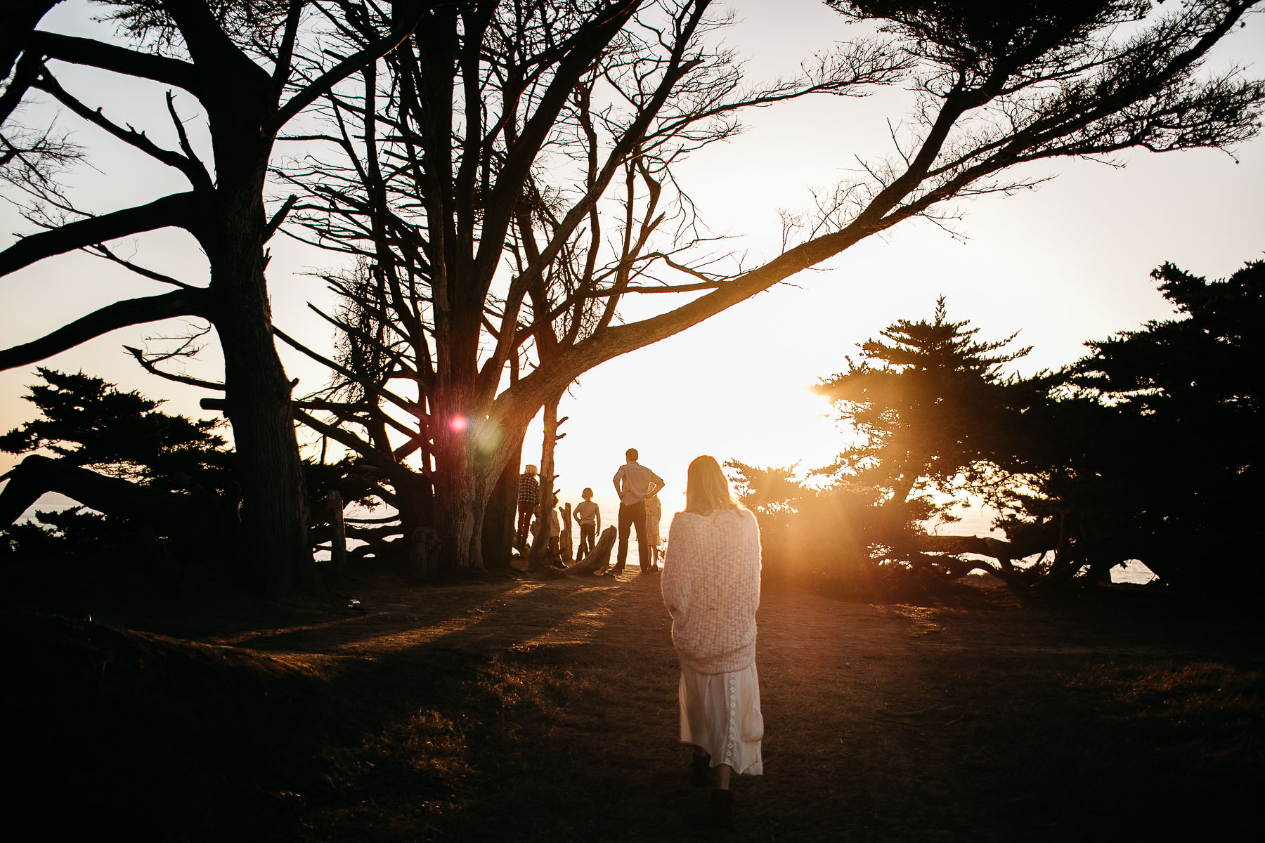 half-moon-bay-golden-cliffside-family-session-42