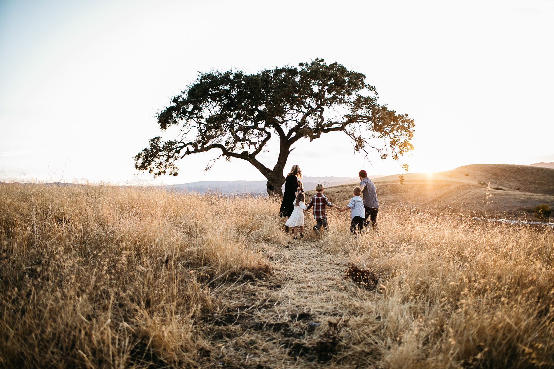 concord-golden-hill-california-fall-lifestyle-session-16