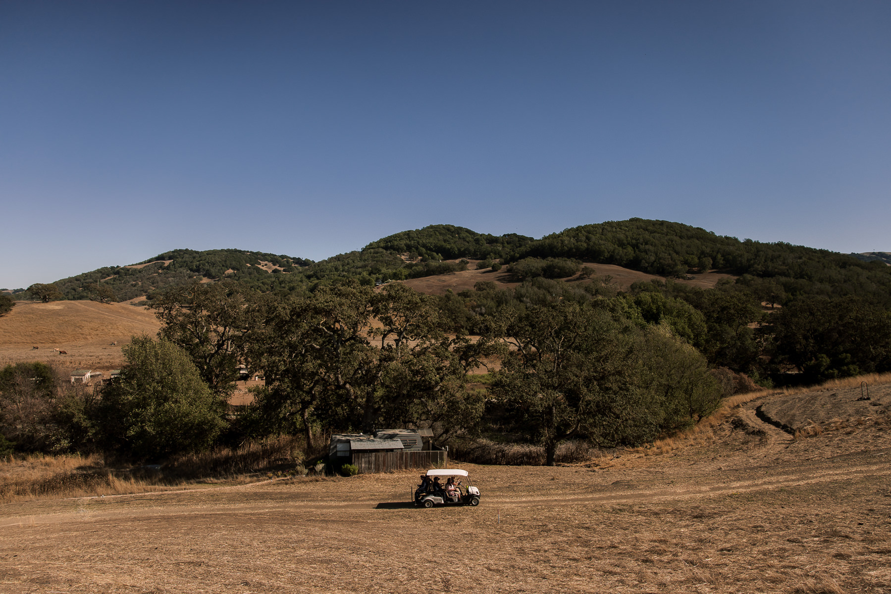 Monkey-ranch-petaluma-golden-hills-wedding-41