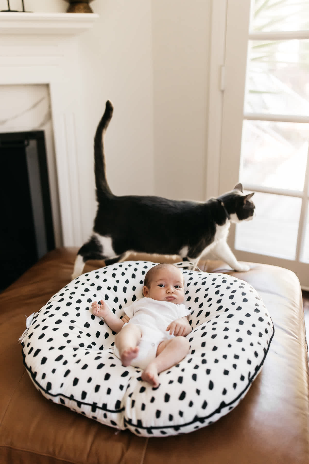 mountain-view-in-home-lifestyle-newborn-session-14