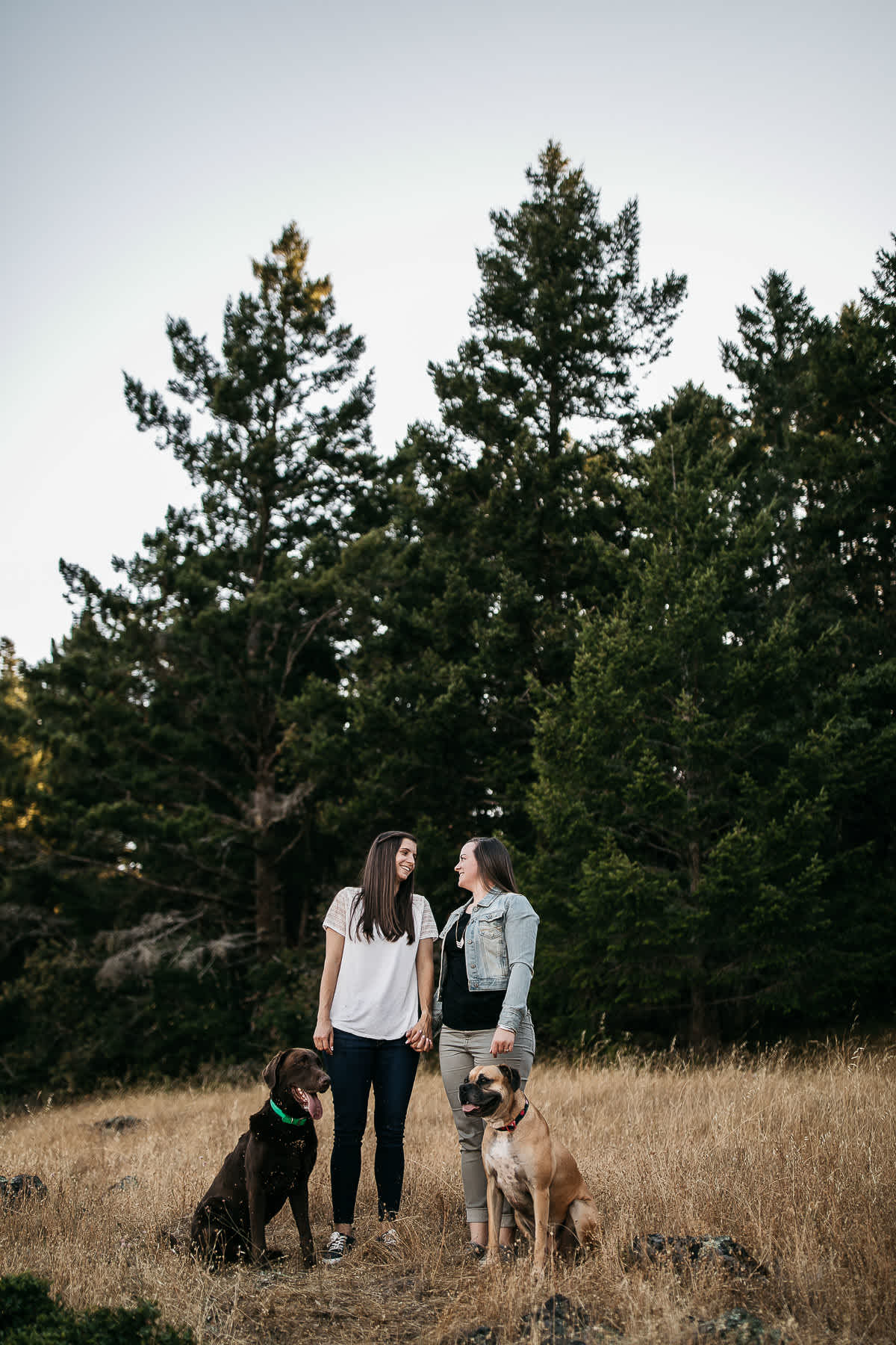 mt-tam-sunset-engagement-session-with-boxer-lab-dogs-15