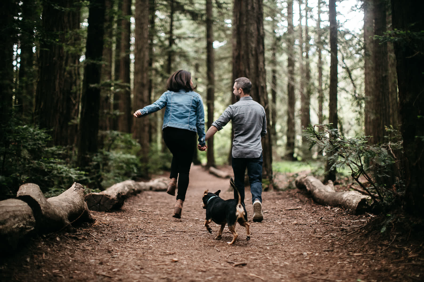 oakland-gloomy-redwood-engagement-session-with-puppy-24