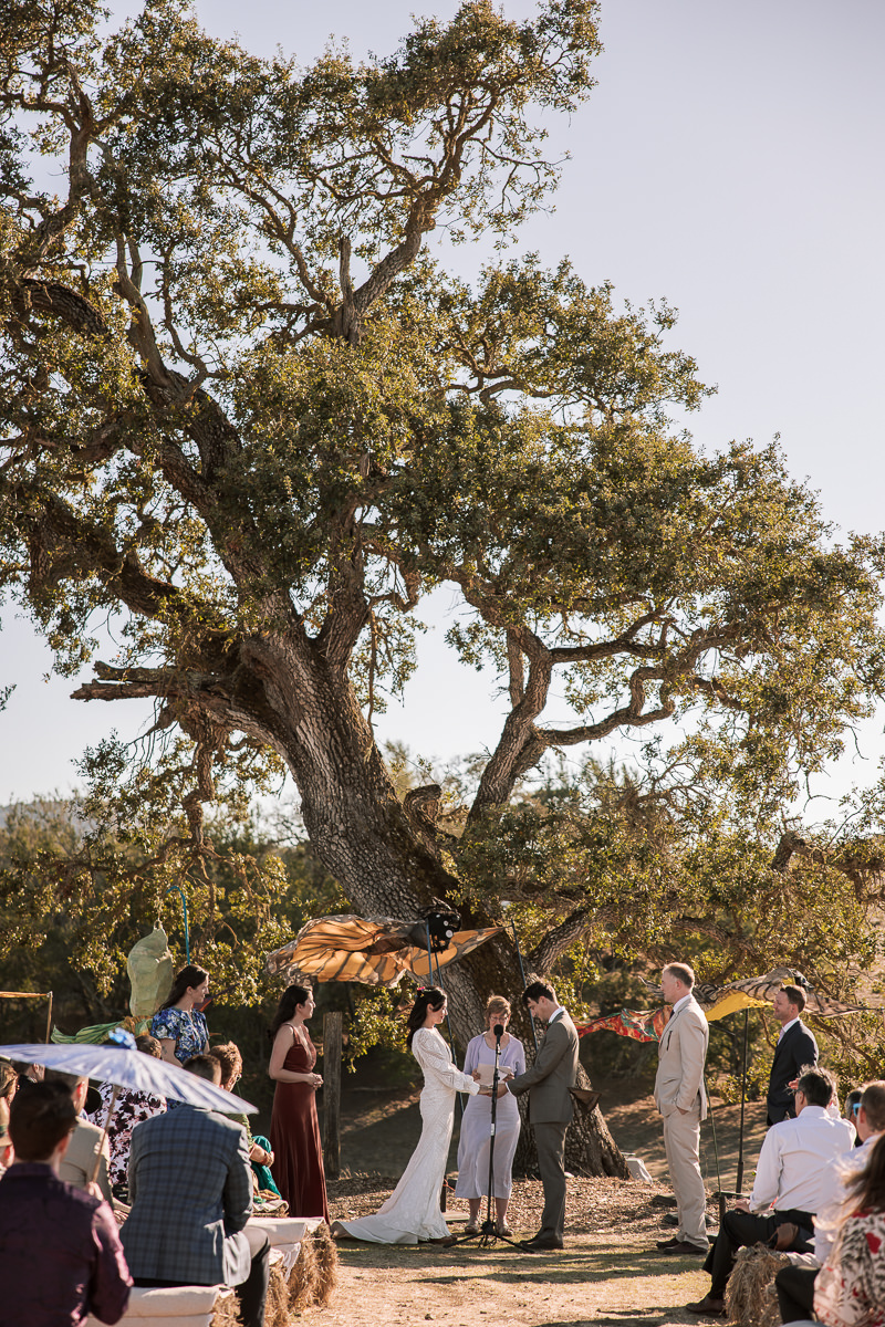 Monkey-ranch-petaluma-golden-hills-wedding-65