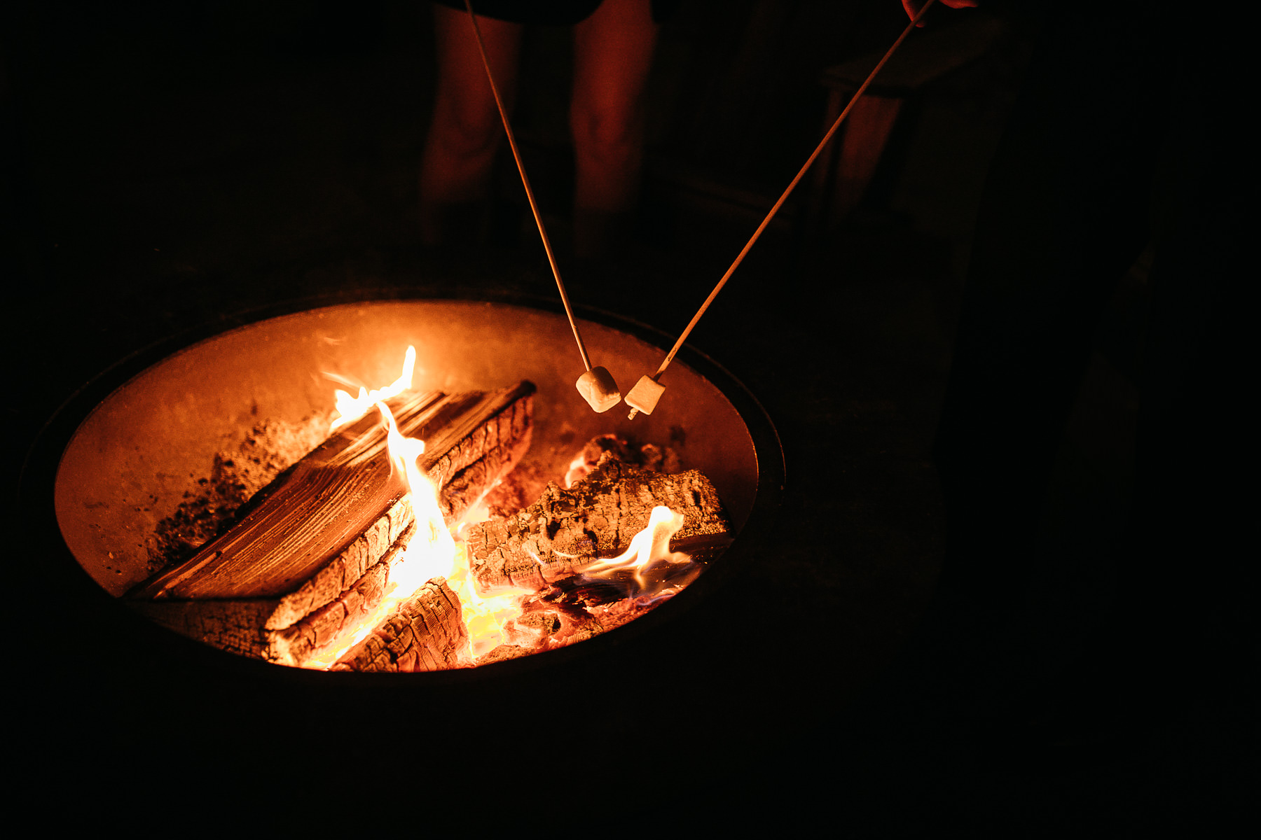 yosemite-rush-creek-fall-wedding-goldendoodle-119