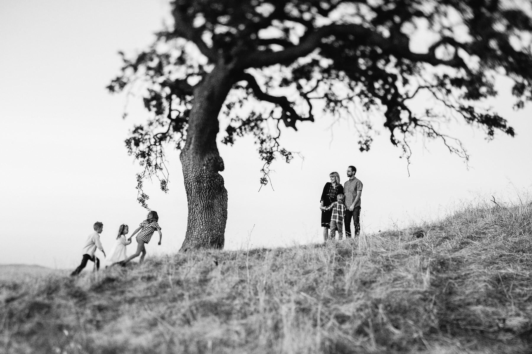 concord-golden-hill-california-fall-lifestyle-session-28