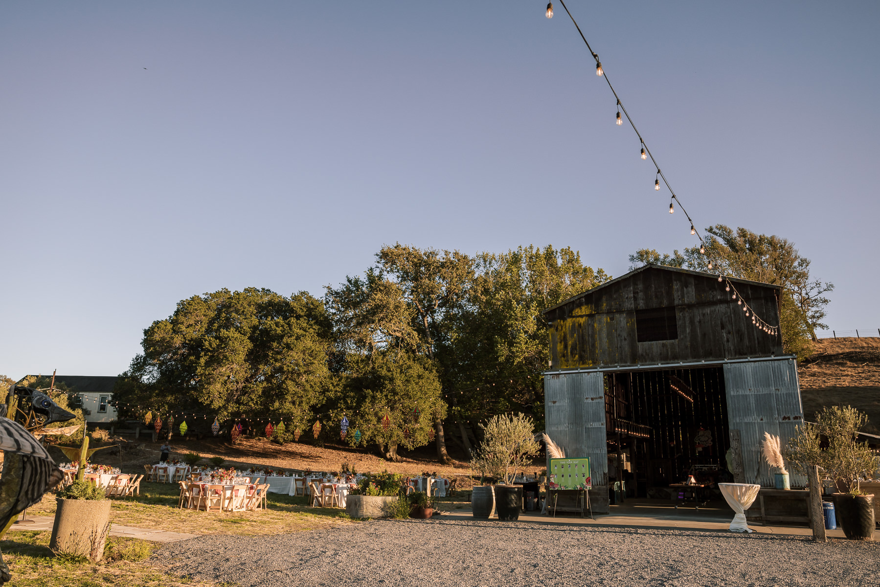 Monkey-ranch-petaluma-golden-hills-wedding-91