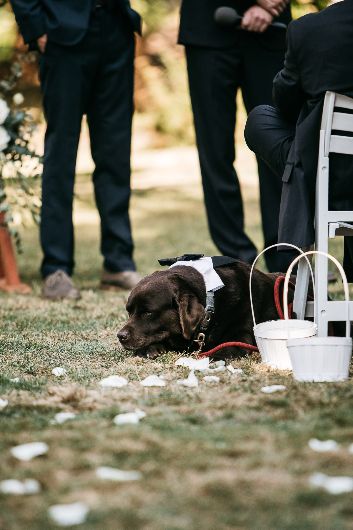 marin-art-and-garden-center-summer-wedding-fusion-36