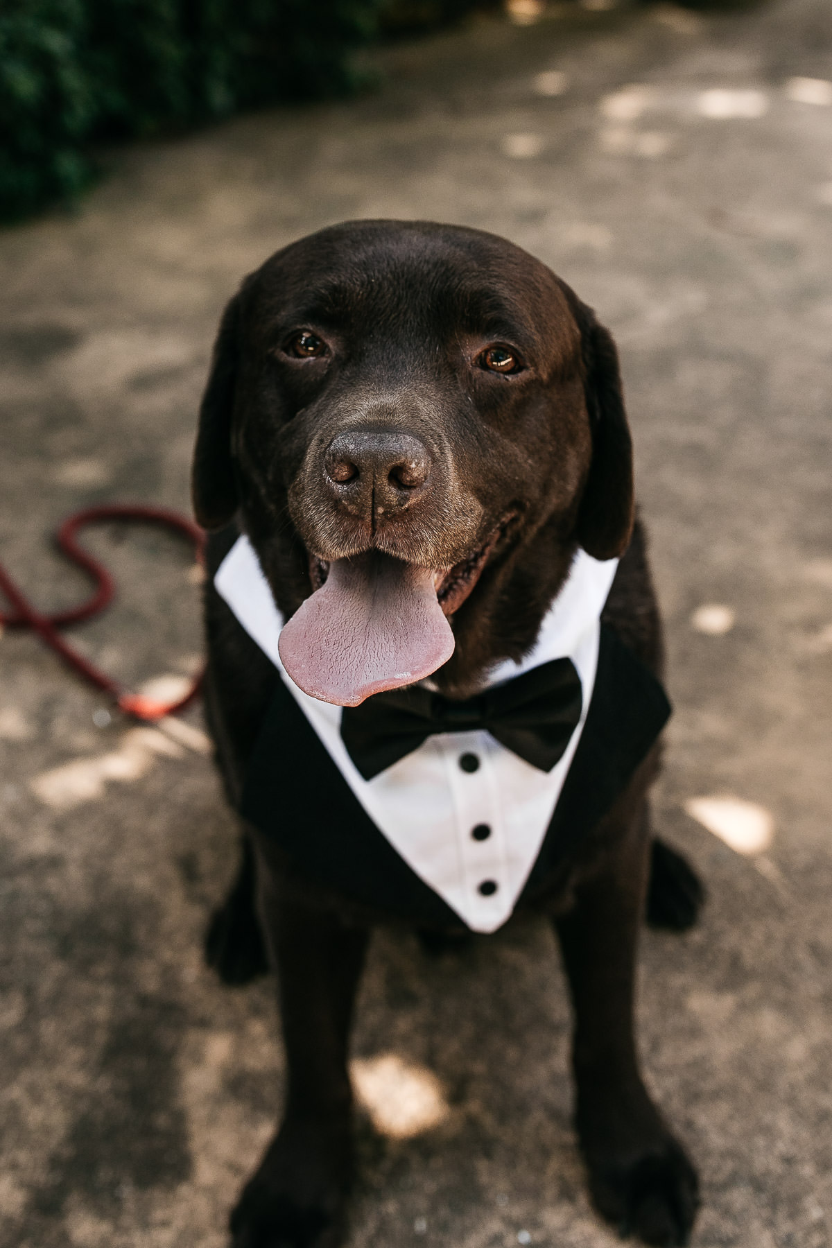 marin-art-and-garden-center-summer-wedding-fusion-14