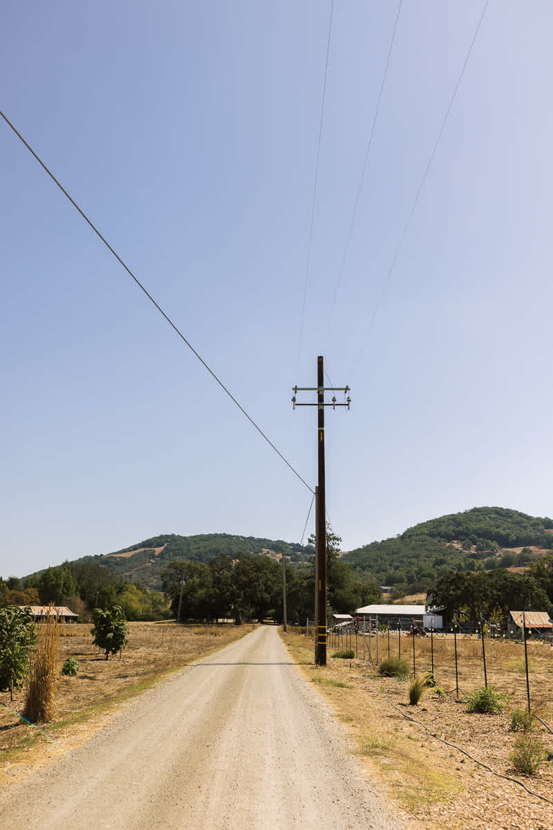 Monkey-ranch-petaluma-golden-hills-wedding-1