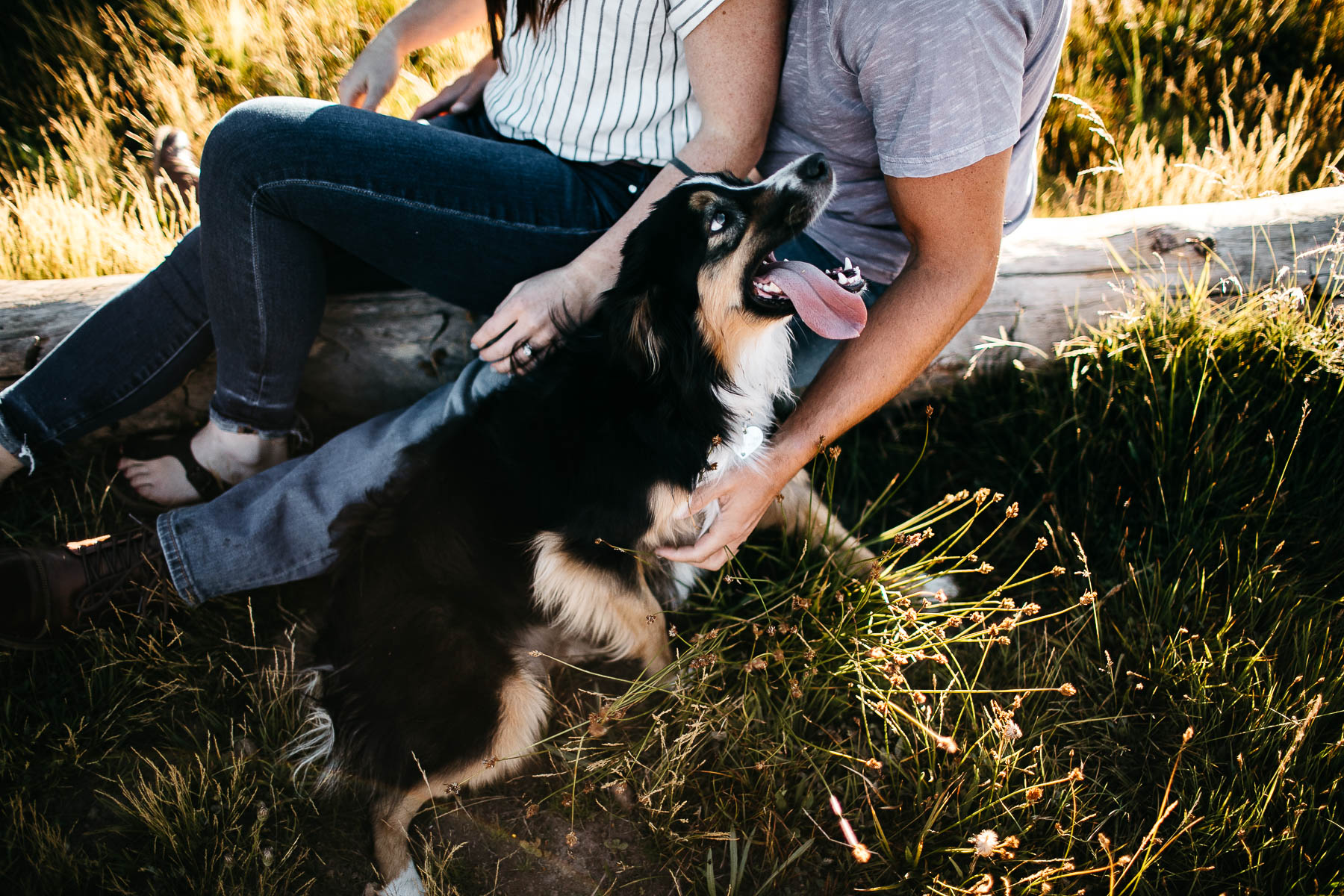lake-tahoe-anniversary-couple-session-with-a-puppy-17