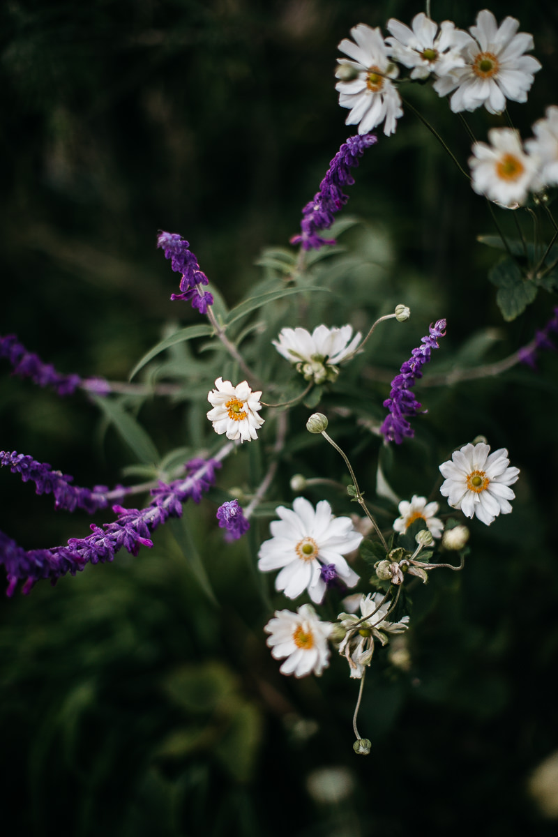 mountain-view-ca-catholic-church-wedding-los-altos-reception-97