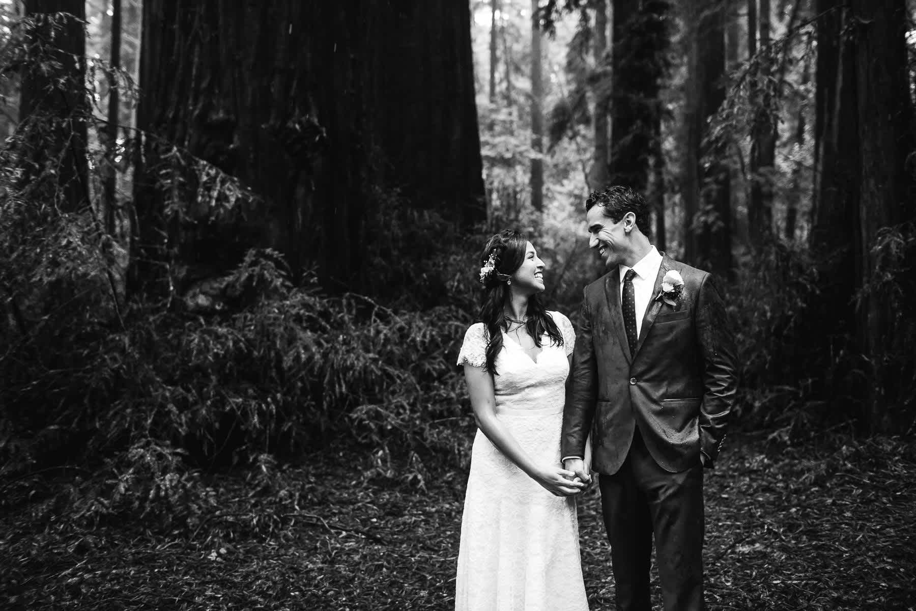 santa-cruz-redwoods-henry-cowell-rainy-elopement-photographer-51
