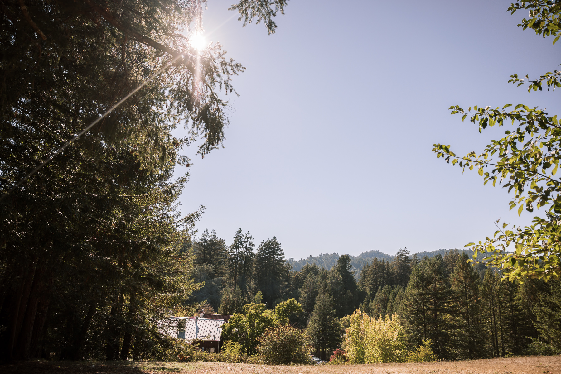 Stavrand-Russian-River-intimate-fall-wedding-46