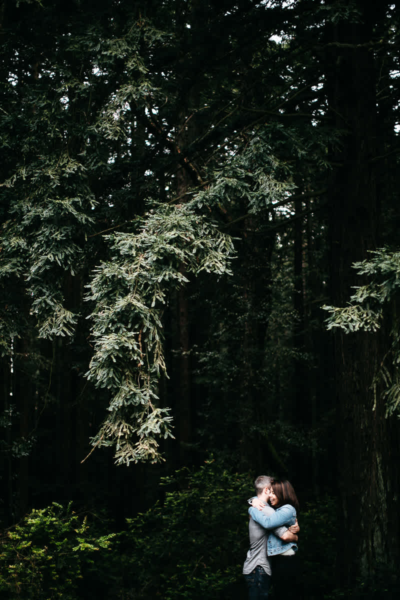 oakland-gloomy-redwood-engagement-session-with-puppy-36