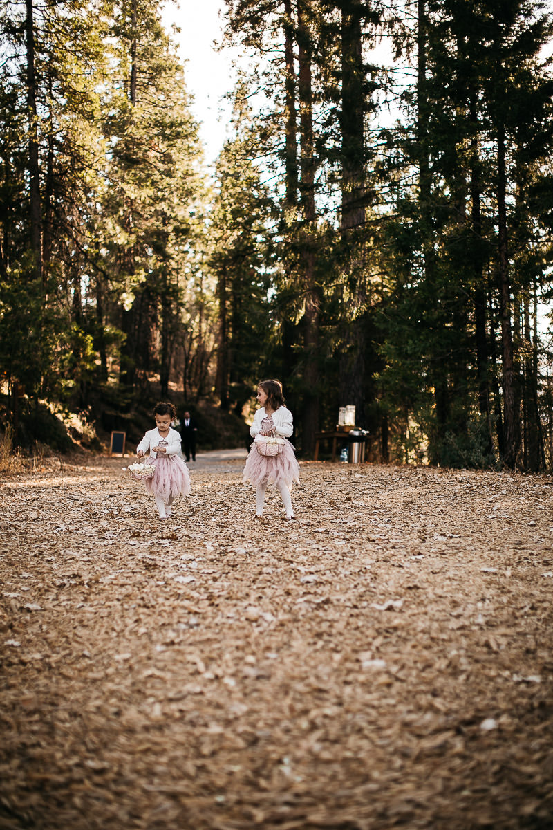 yosemite-rush-creek-fall-wedding-goldendoodle-39