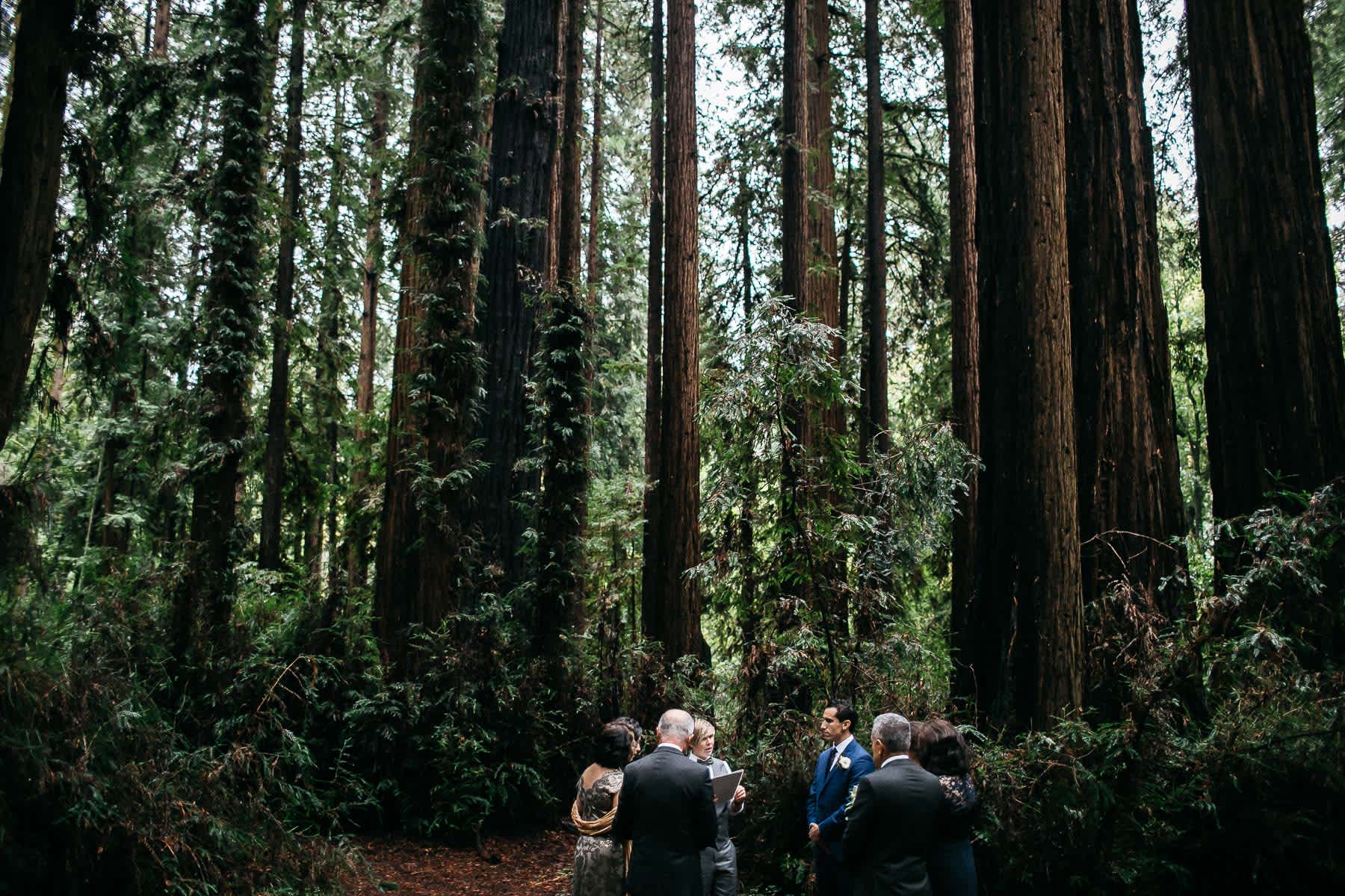 santa-cruz-redwoods-henry-cowell-rainy-elopement-photographer-10
