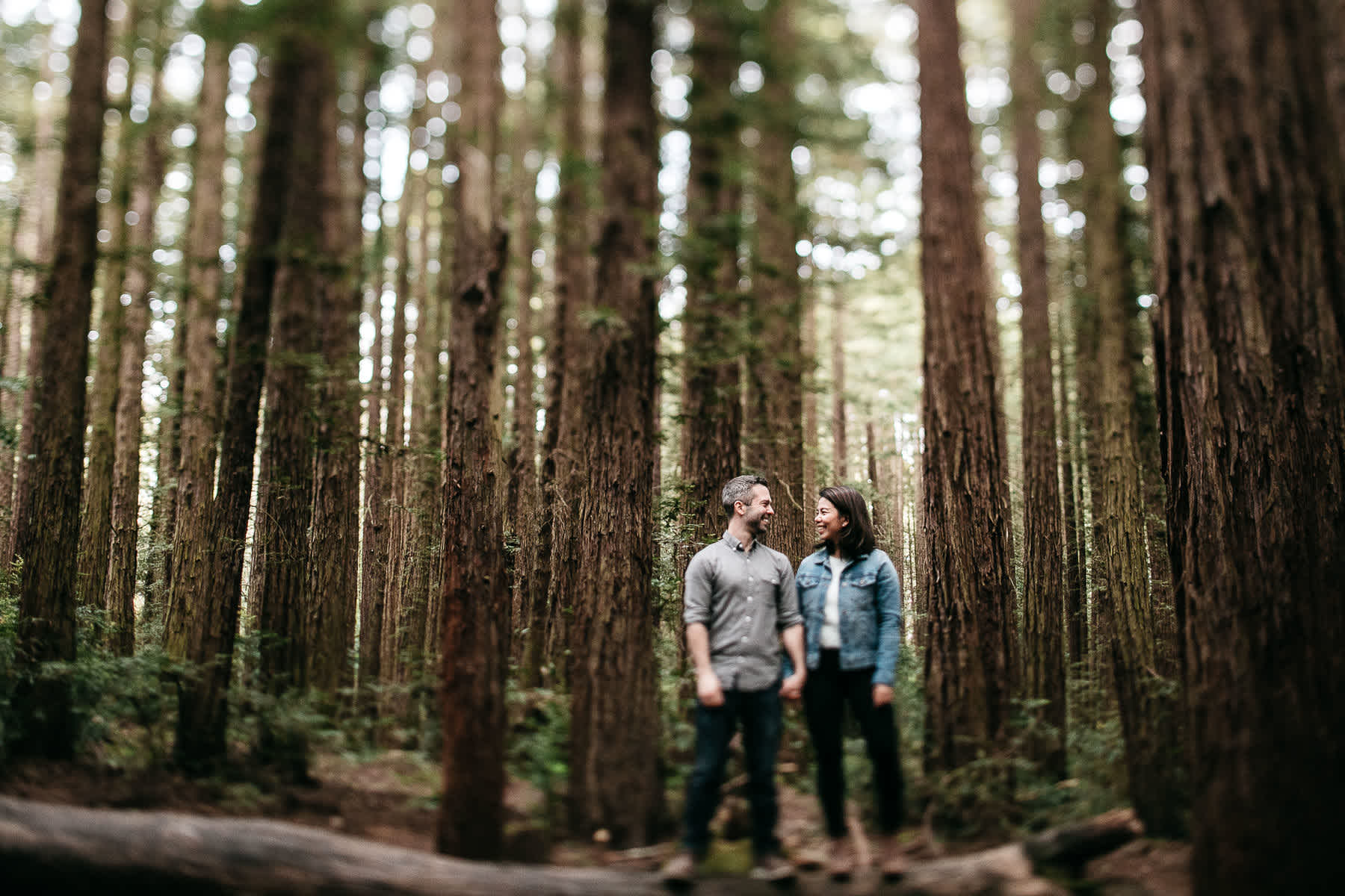 oakland-gloomy-redwood-engagement-session-with-puppy-14