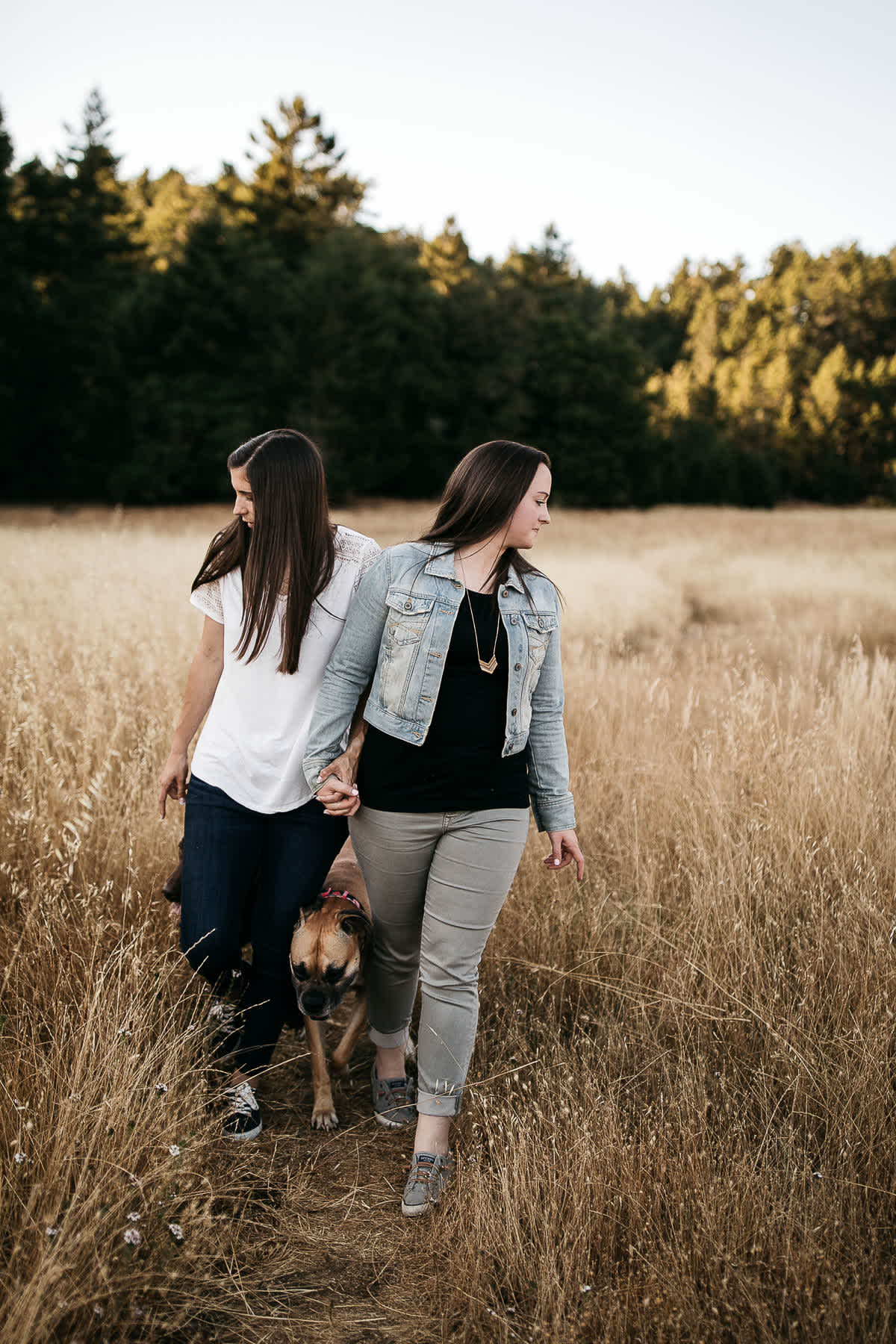 mt-tam-sunset-engagement-session-with-boxer-lab-dogs-19