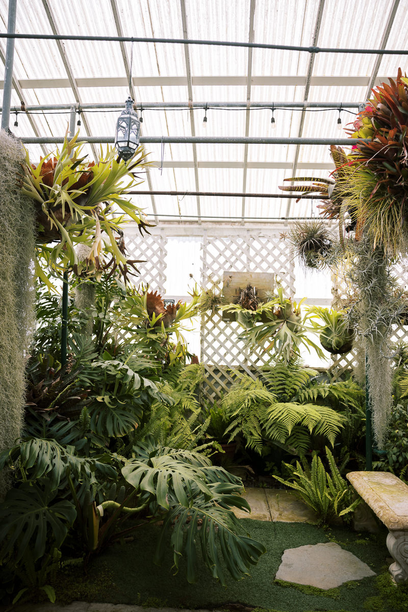 Pacifica-shelldance-orchid-gardens-summer-wedding-72