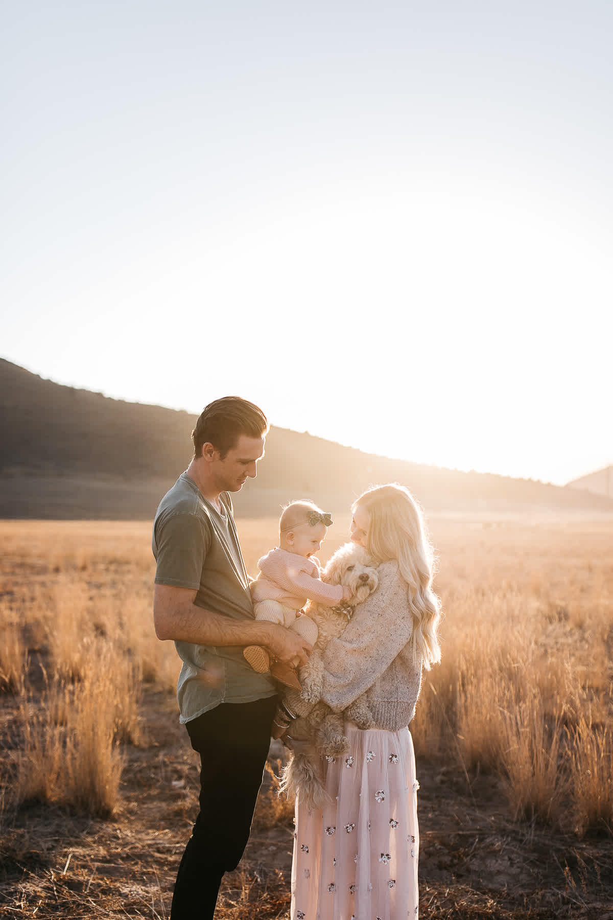golden-hills-sunset-lifestyle-session-family-with-goldendoodle-13